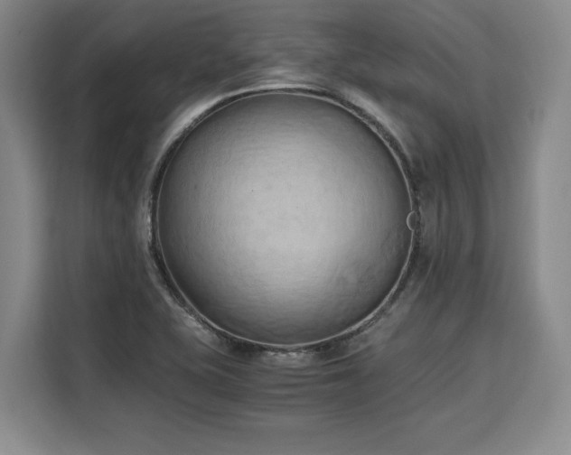 X0000110321415200905211517