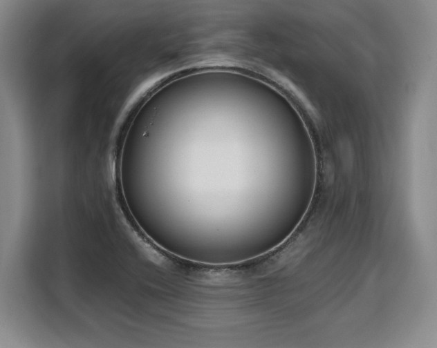X0000110321416200905211517
