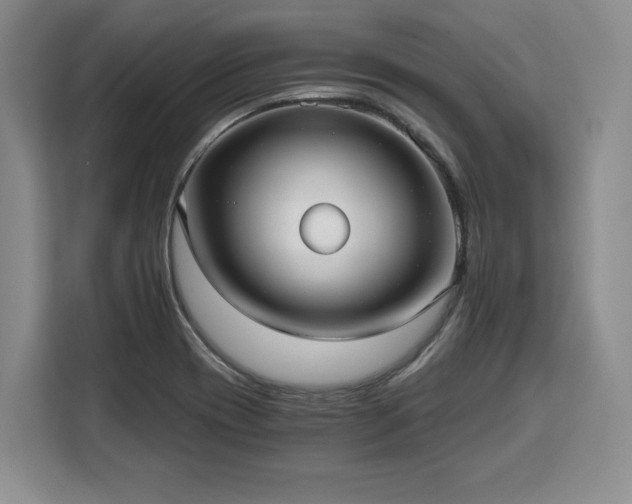 X0000110321417200905211517
