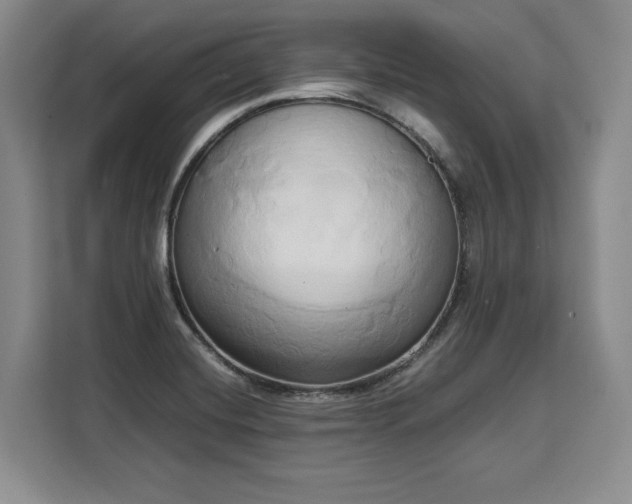 X0000110321420200905211517