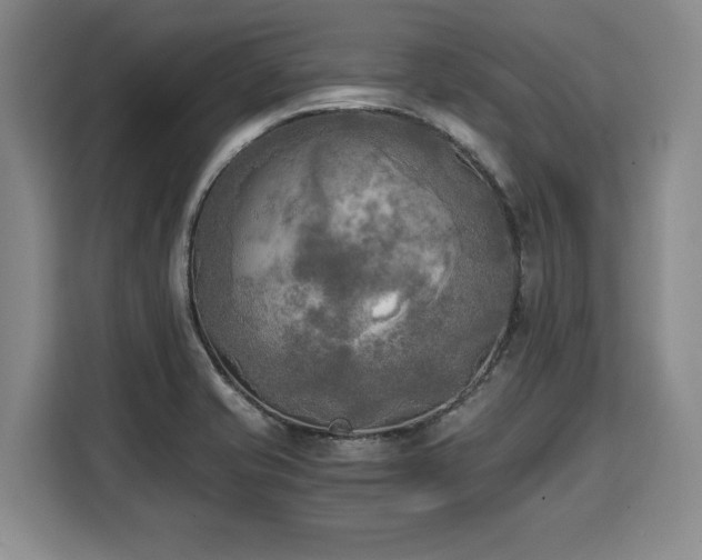X0000110321421200905211517
