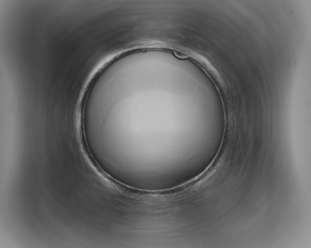 X0000110321424200905211517