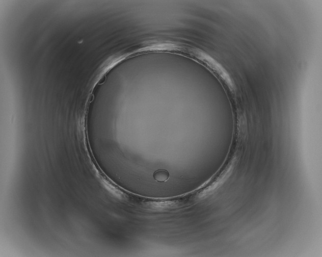 X0000110321425200905211517