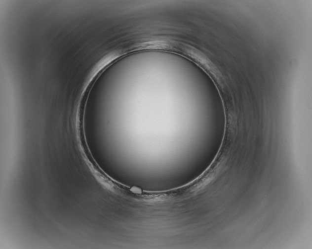 X0000110321426200905211517