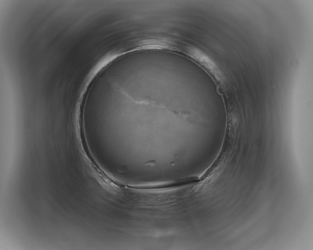 X0000110321427200905211517