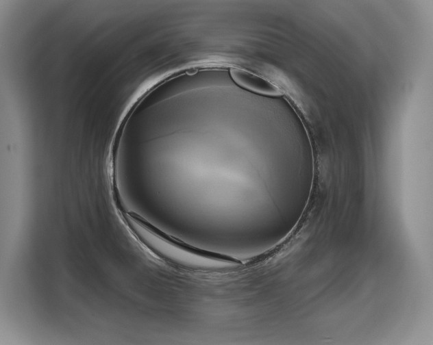 X0000110321428200905211517