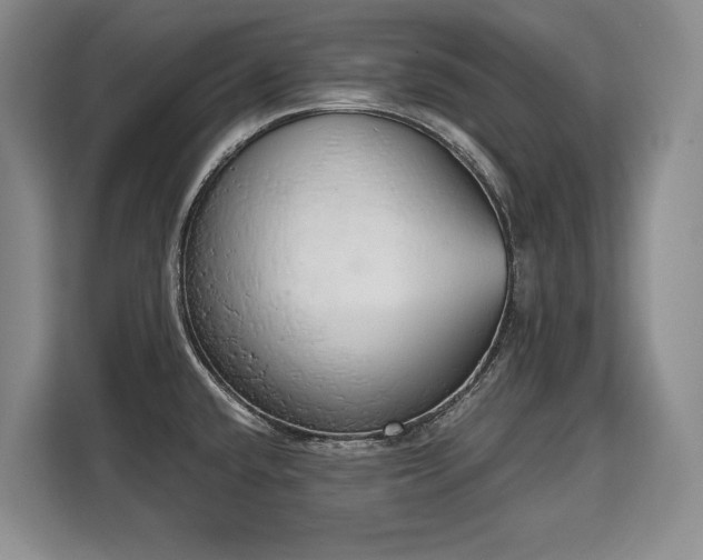 X0000110321432200905211517