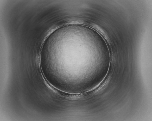 X0000110321433200905211517