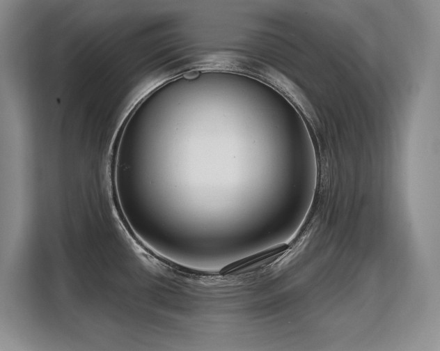 X0000110321434200905211517