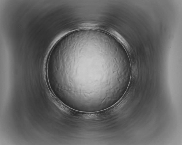 X0000110321435200905211517