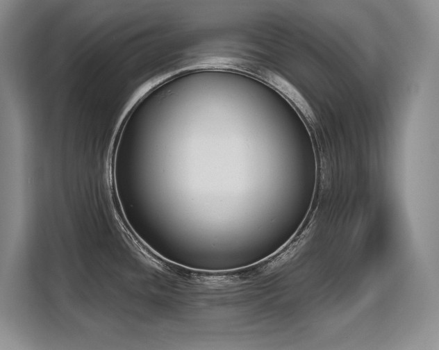 X0000110321436200905211517