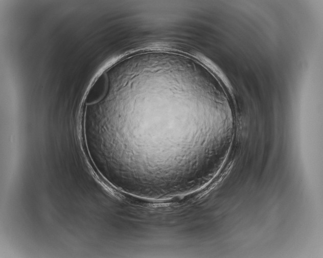 X0000110321437200905211517