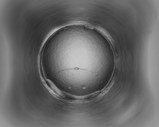 X0000110321438200905211517