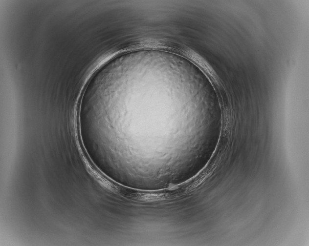 X0000110321439200905211517