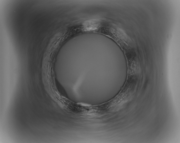 X0000110321441200905211517