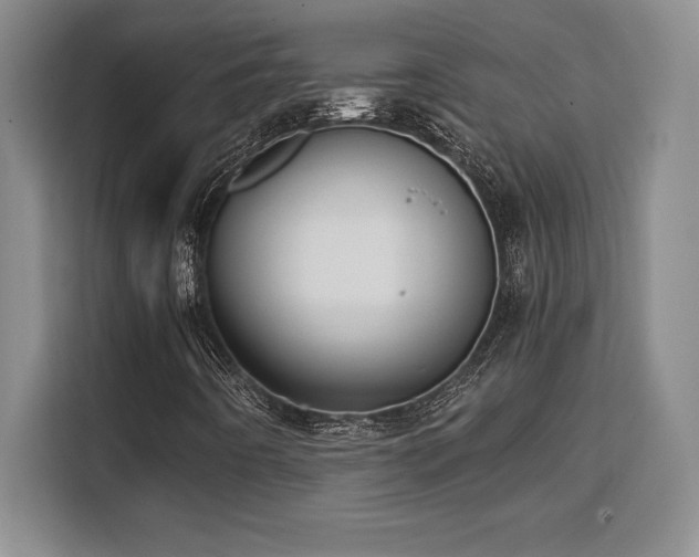 X0000110321442200905211517