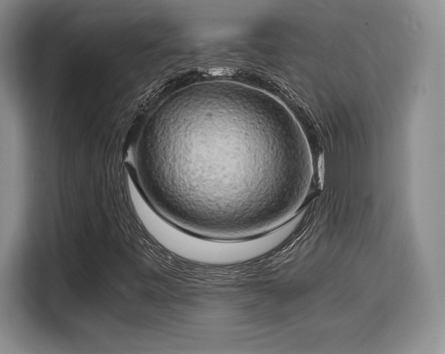 X0000110321443200905211517