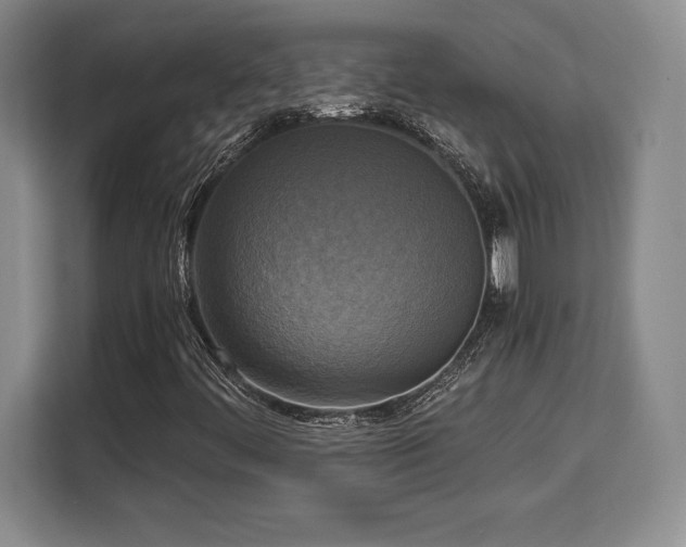 X0000110321444200905211517