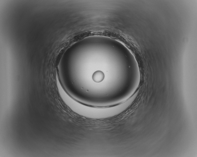 X0000110321445200905211517