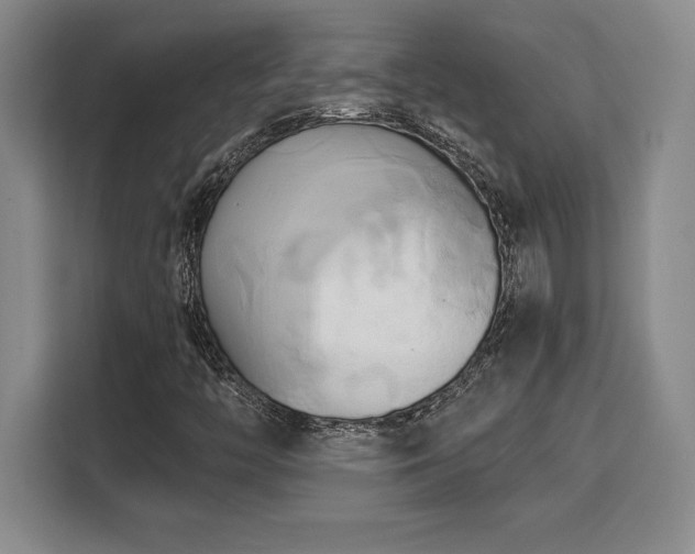 X0000110321446200905211516
