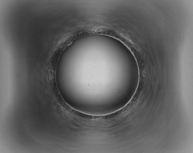 X0000110321447200905211516