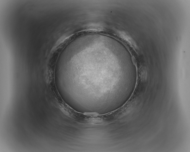 X0000110321448200905211516