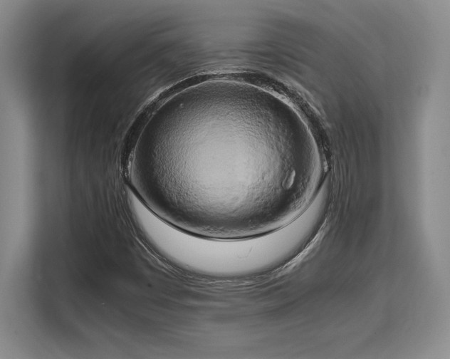 X0000110321449200905211516