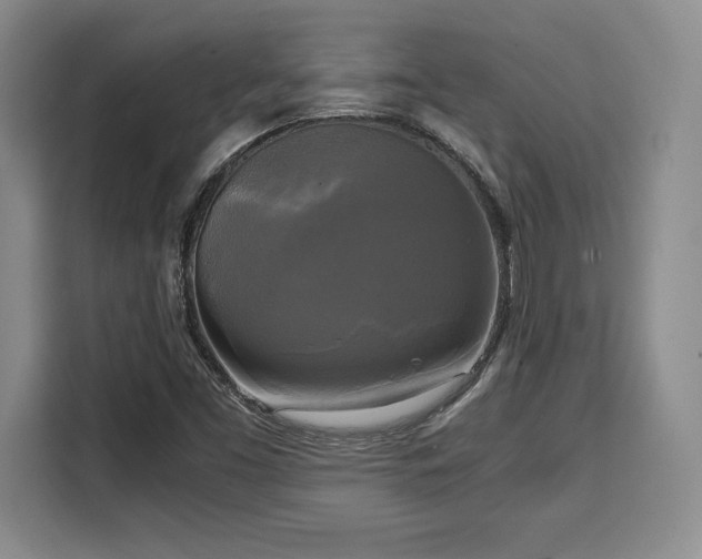 X0000110321453200905211516