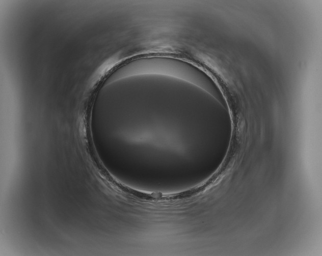 X0000110321455200905211516