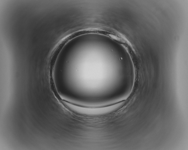 X0000110321456200905211516