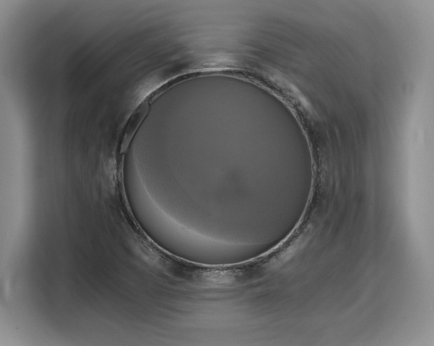 X0000110321457200905211516