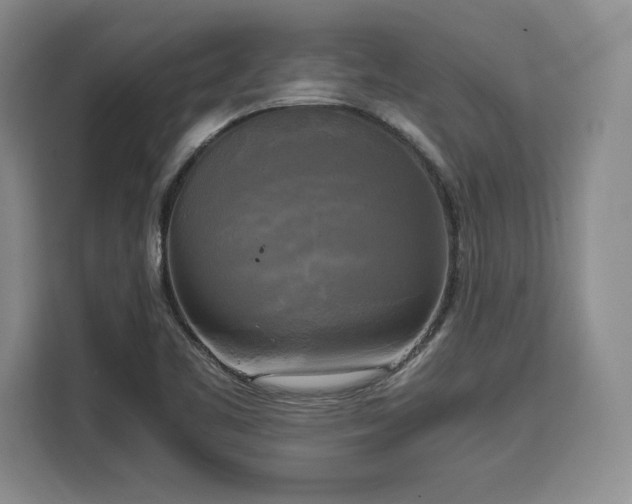 X0000110321461200905211516