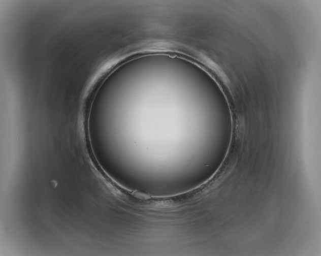 X0000110321464200905211516