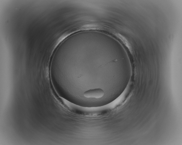 X0000110321465200905211516