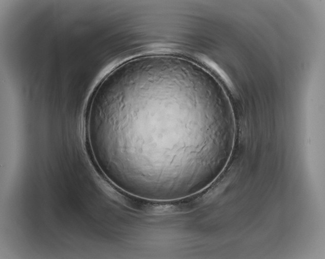 X0000110321467200905211516
