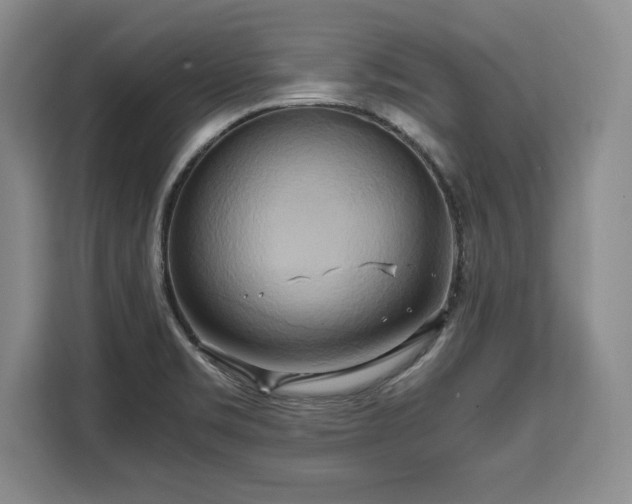 X0000110321469200905211516