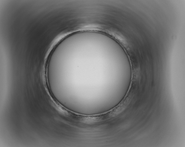 X0000110321470200905211516