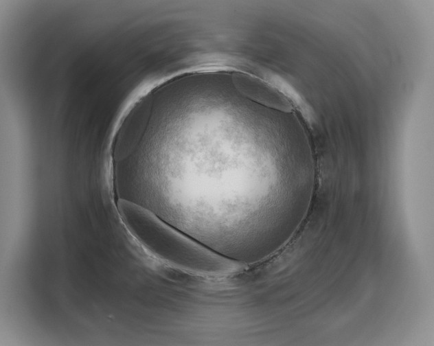 X0000110321472200905211516