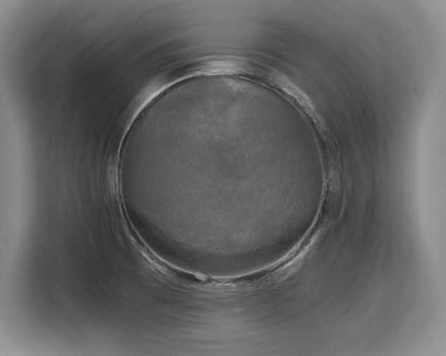 X0000110321473200905211516
