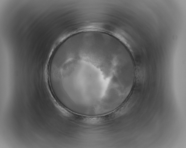 X0000110321474200905211516