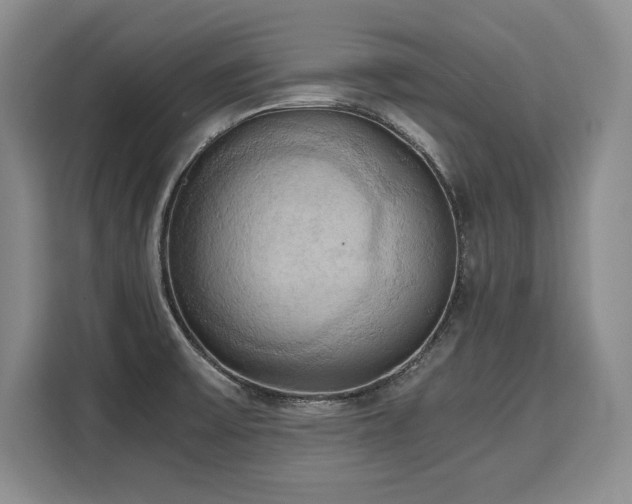 X0000110321475200905211516