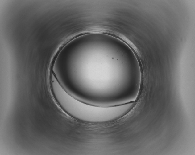 X0000110321477200905211516