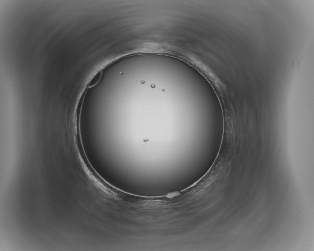 X0000110321479200905211516