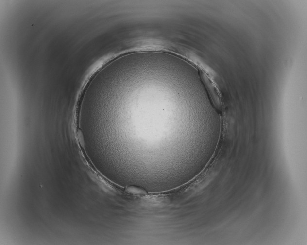 X0000110321480200905211516