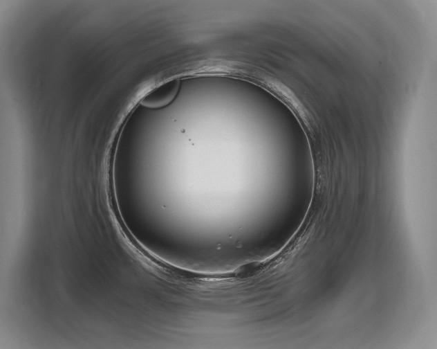 X0000110321483200905211516