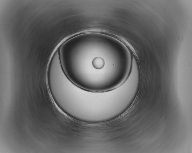 X0000110321484200905211516