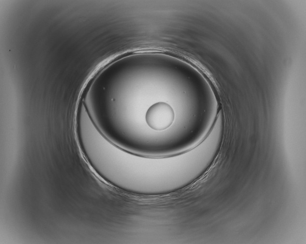 X0000110321485200905211516