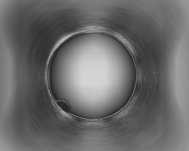 X0000110321486200905211516