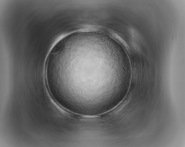 X0000110321487200905211516