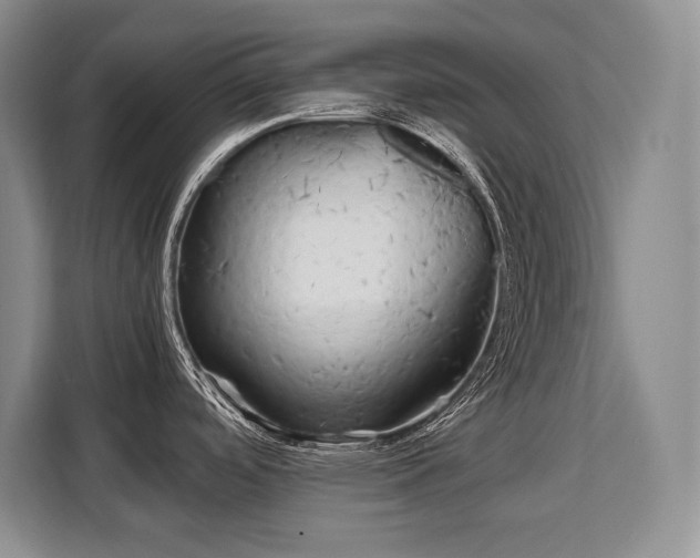 X0000110321488200905211516